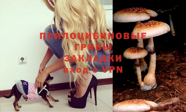 jwh Белоозёрский