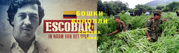 тгк Белокуриха