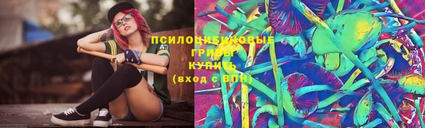 тгк Белокуриха
