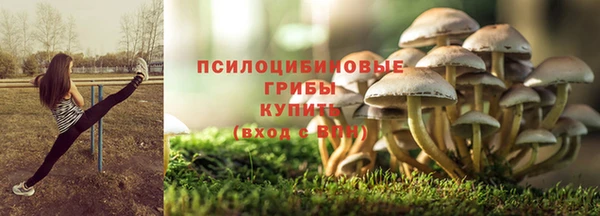 тгк Белокуриха