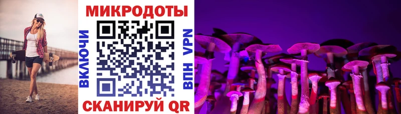 Галлюциногенные грибы ЛСД  площадка клад  Севск 